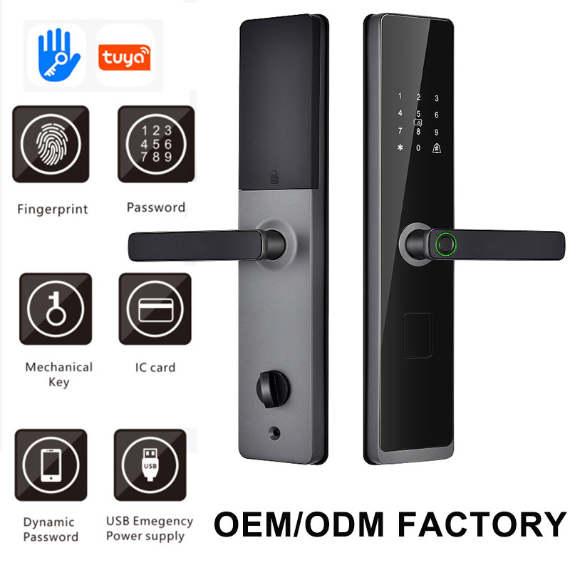 New Product Tuya WiFi Smartlock Fingerprint Lock Remote Unlock Tt Lock Digital Card Key Cerradura Intelligente Smart Door Lock (D-SE16)