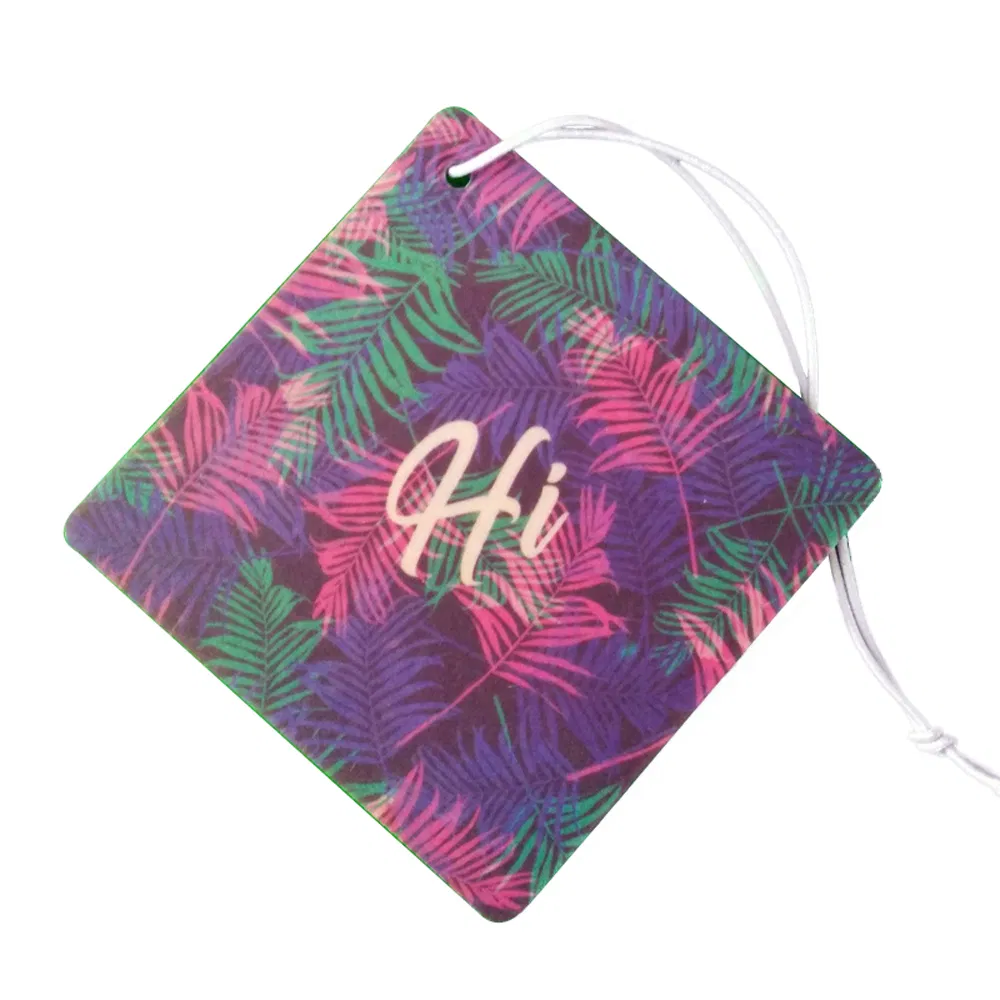 Professional Factory Portable Car Air Freshener with Different Shapes and Scents