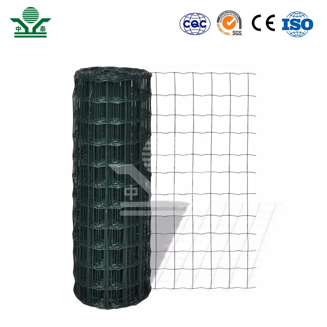 Zhongtai Plastic Coated Dutch Fence China Manufacturing Stadium Fence Wire Mesh 2X3 Inch Dutch Perimeter Fencing