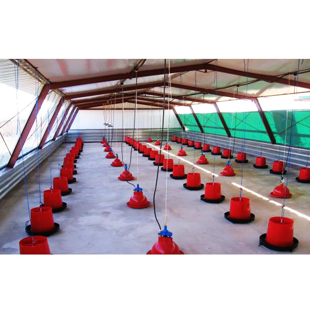 Modern Prefab Poultry Farming Shed Building Chicken Farm House