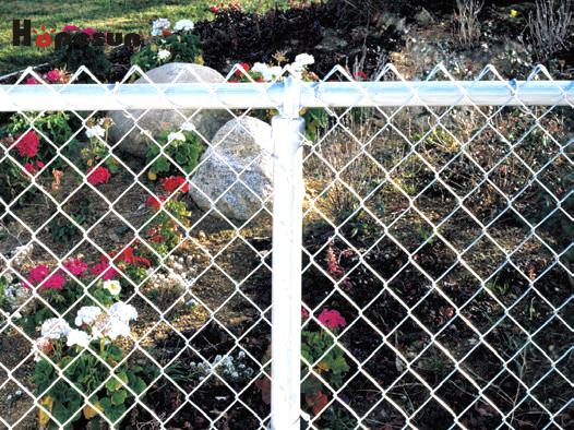 White Color PVC Coated Chain Link Fence Wire Mesh