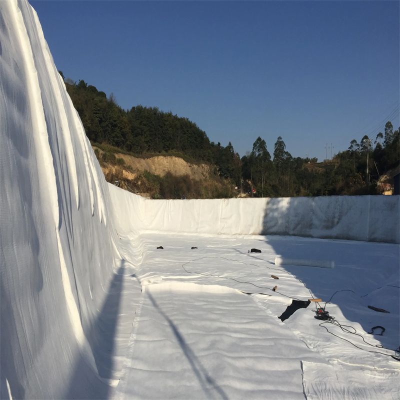 Composite Drainge Net 3D Composite Drainage Geonet HDPE Plastic Geonet with Non Woven Geotextile