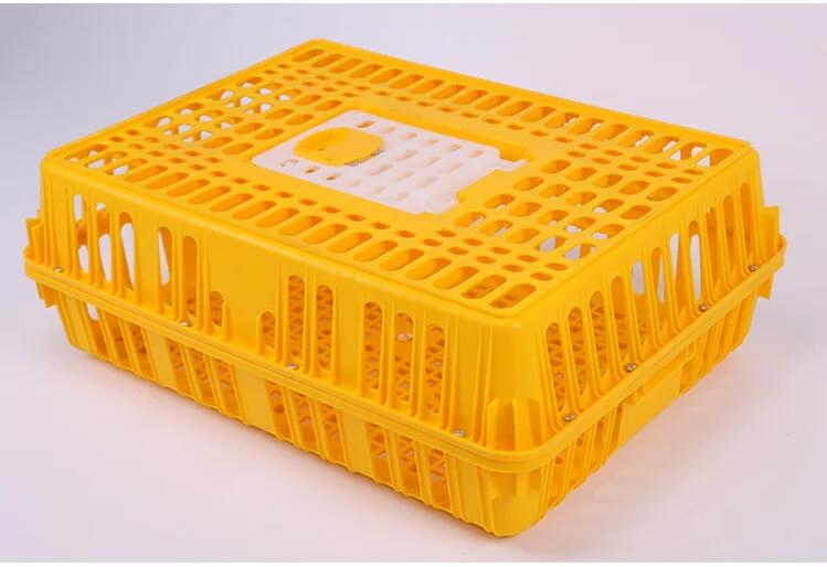 Plastic Chicken Transport Box Live Chicken Transfer Box (002)