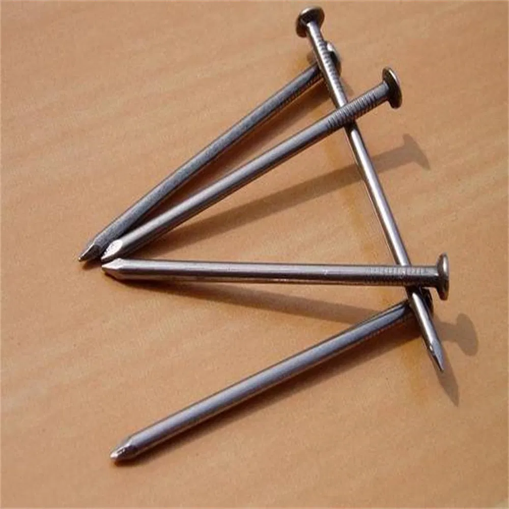 Durable Stainless Steel and Carbon Steel Nail Assortment