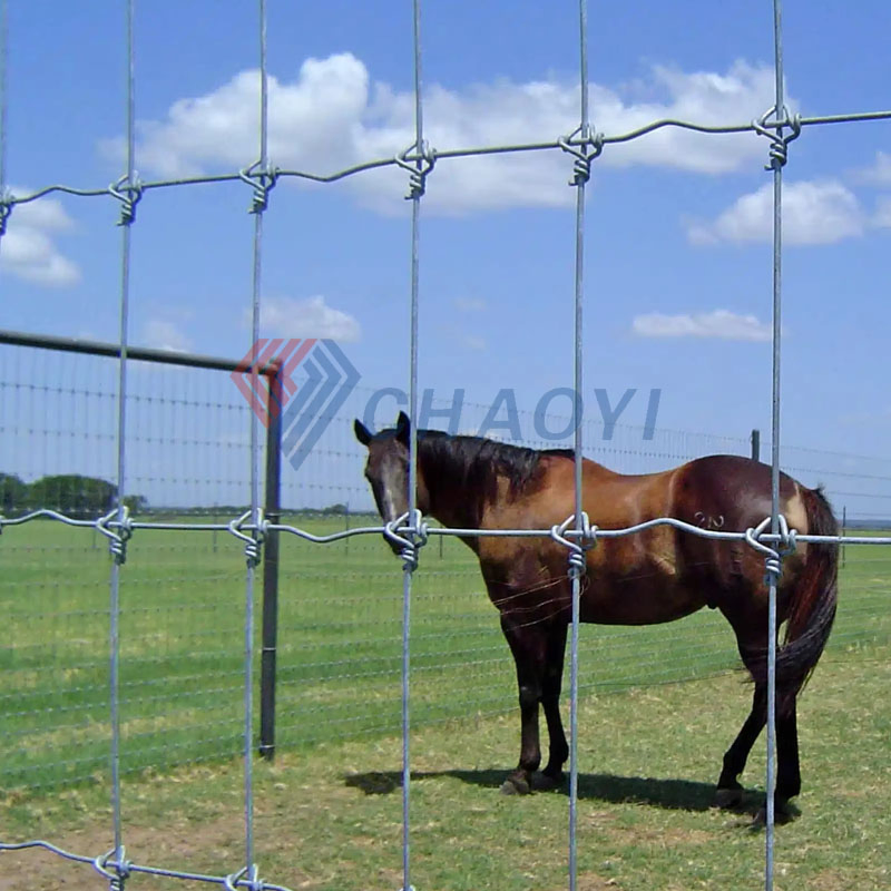 Durable Hot Dipped Galvanized Steel Wire Mesh Farm Fence