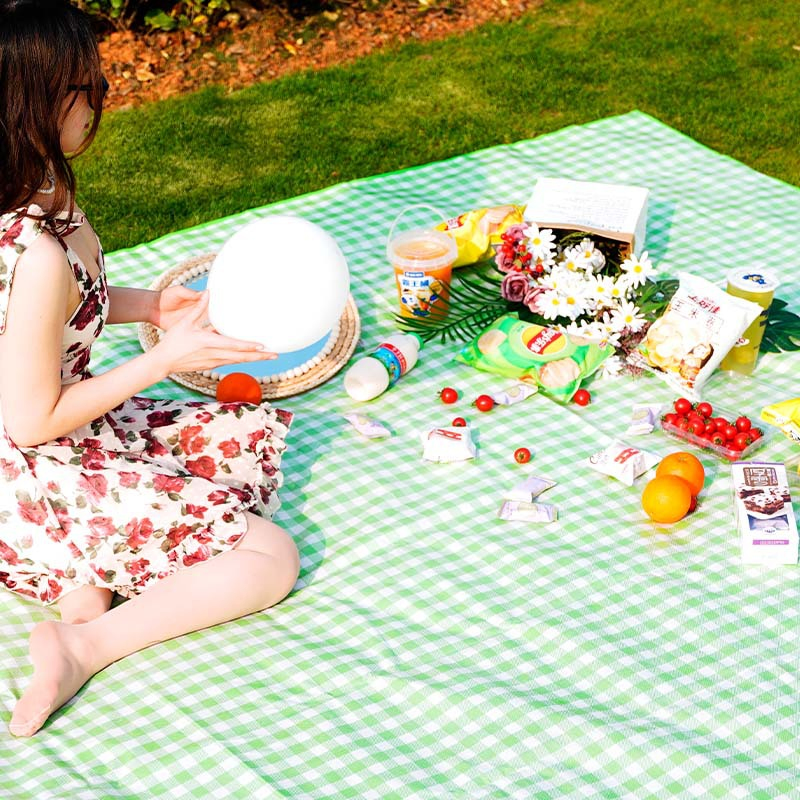 Outdoor Portable Folding Waterproof and Moisture-Proof Thickened Camping Picnic Mat