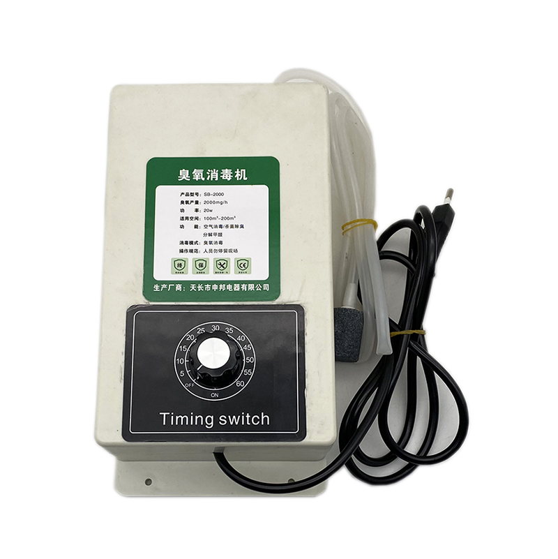 110V2000mg High Quality Water Treatment Equipment Ozone Sterilization Generator