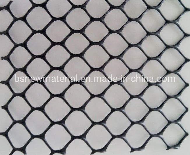 Plastic HDPE Geonet for Retaining Wall Good Price