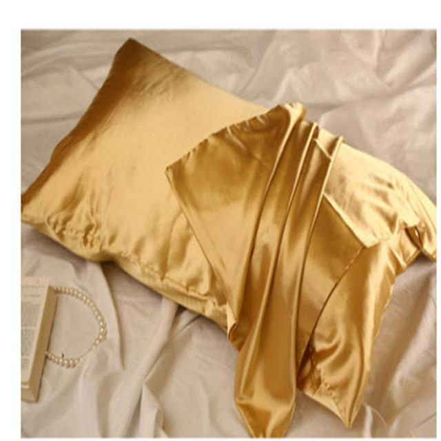 2024 New Arrive Skin-Freindly Soft Washable 100% Pure Silk Pillow Case