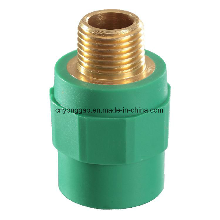 Era PPR Fitting DIN8077/8088 Male Thread Bush Type II