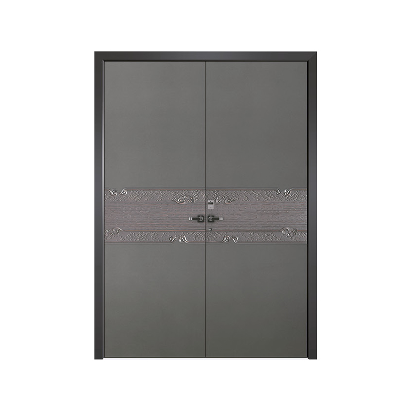 Premium Fireproof Glass Entry Doors for Jhr Steel Homes