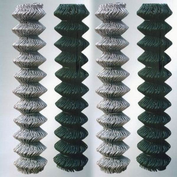 Hot Dipped Galvanized Chain Link Fence/ Fencing Used as Fence