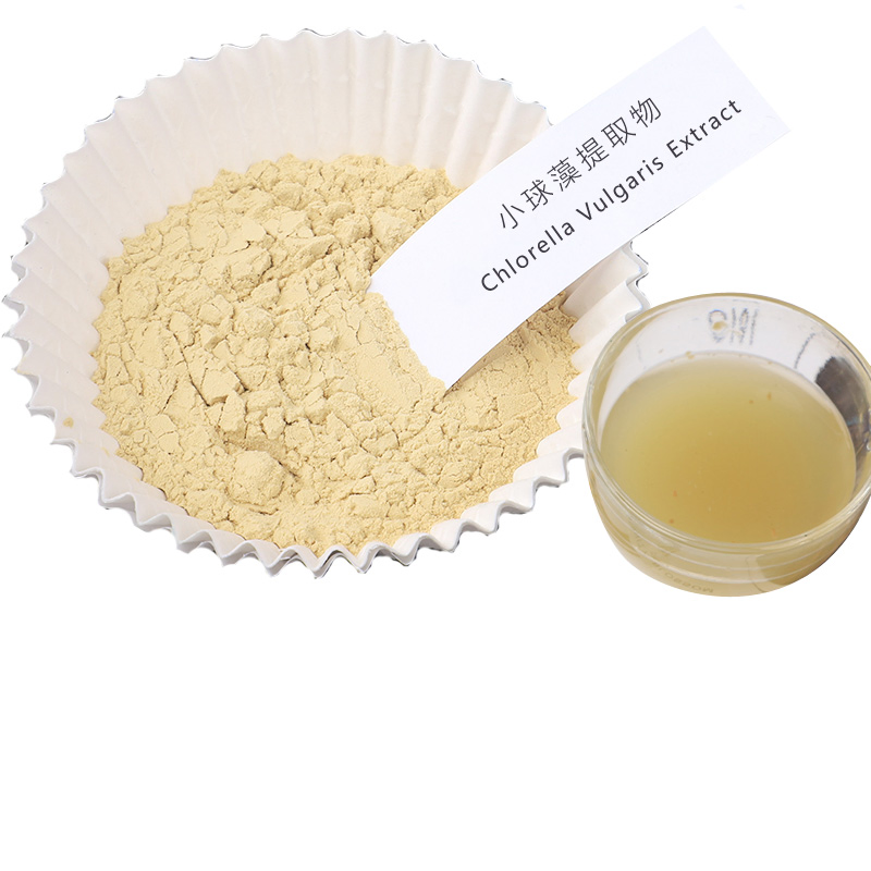 Chlorella Power Plant Extracts Repairing Damaged /Skin Cells