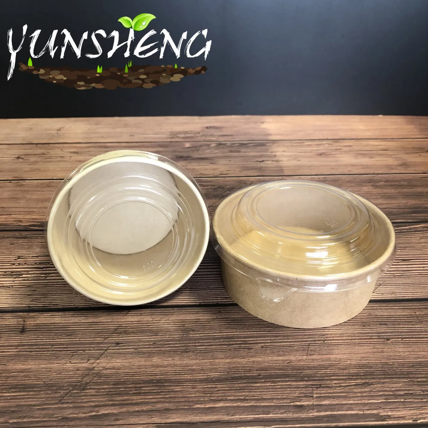 Disposable Biodegradable Hot Soup Bowl/Salad Bowl Which Made by Kraft or Bamboo Pulp