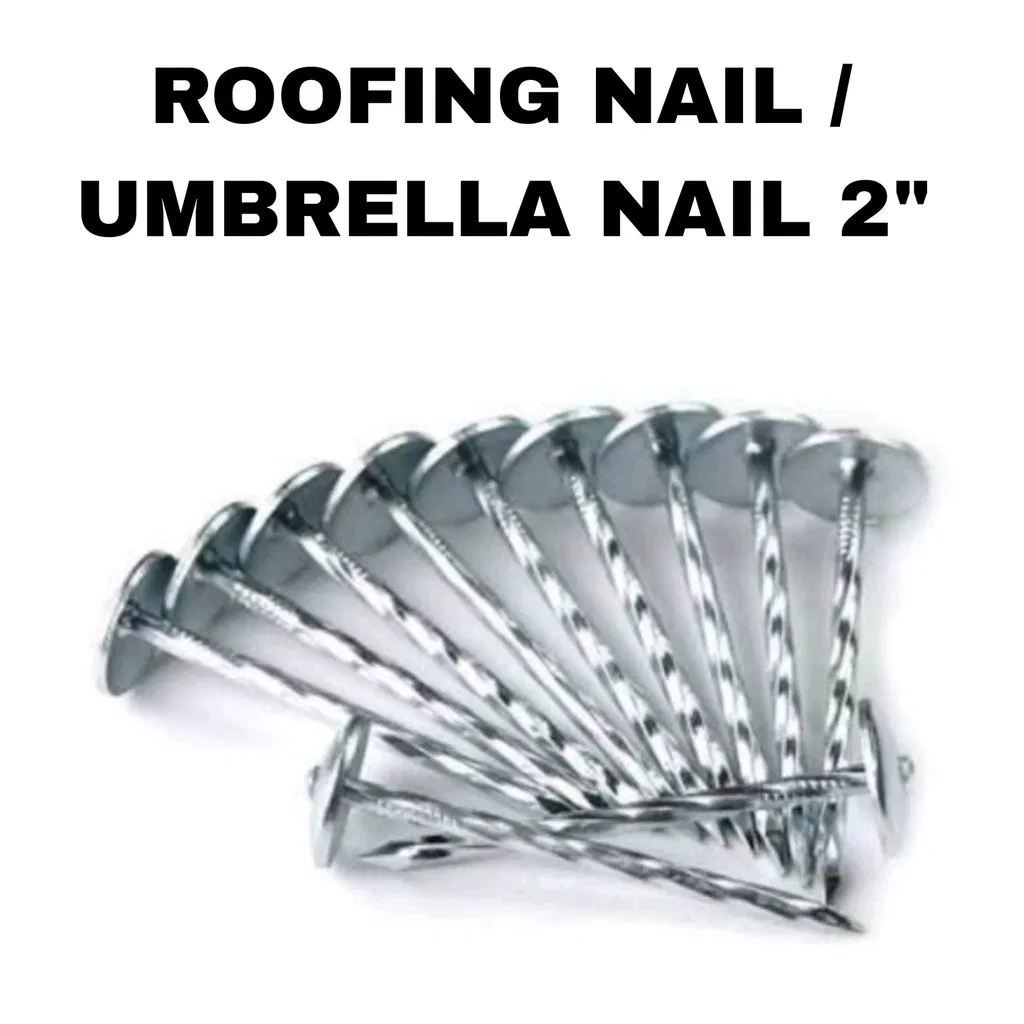 Umbrella Head Screw Twist Roofing Nails