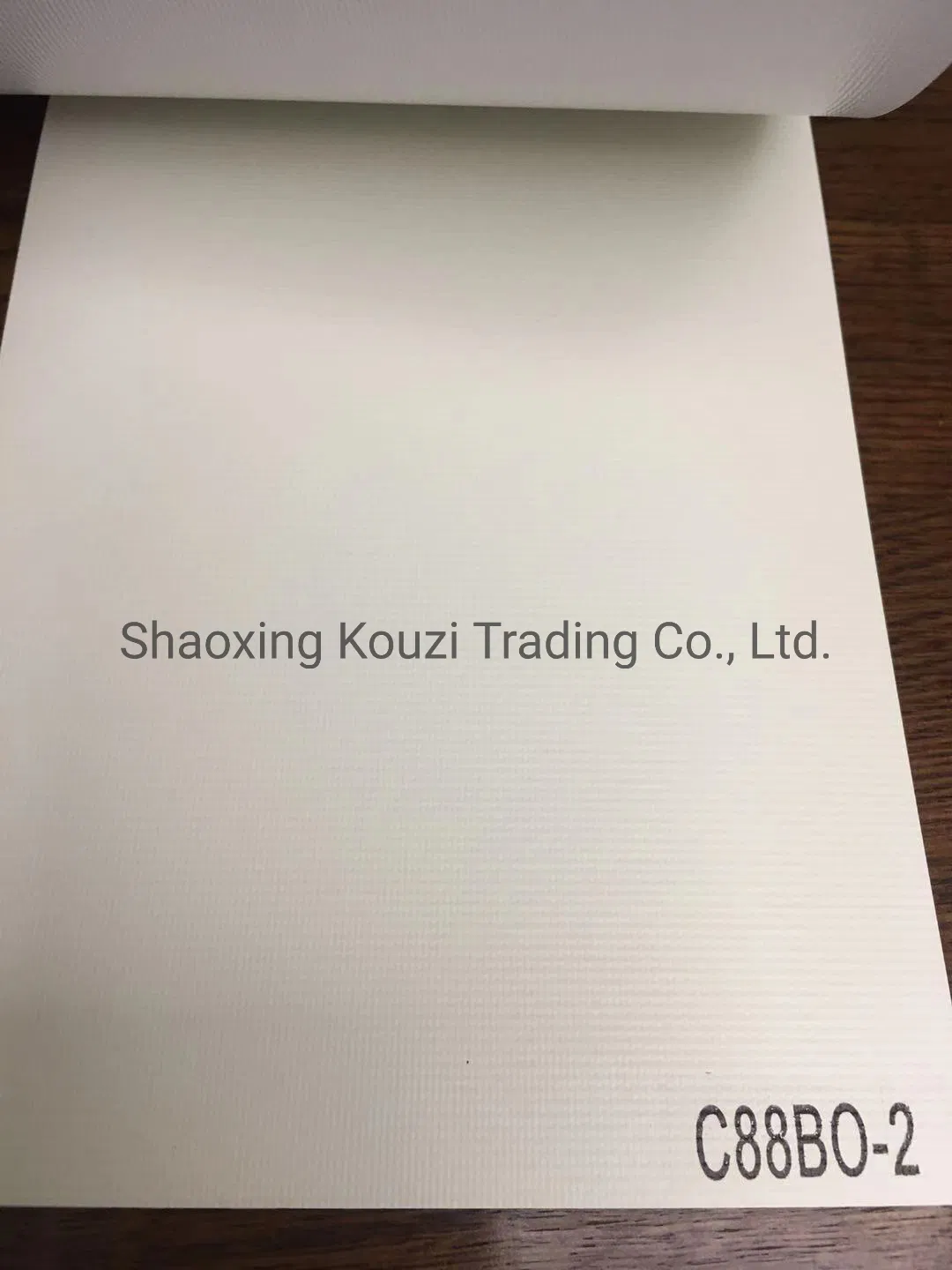 Foam Coating Back 100%Blackout Roller Blinds Fabric
