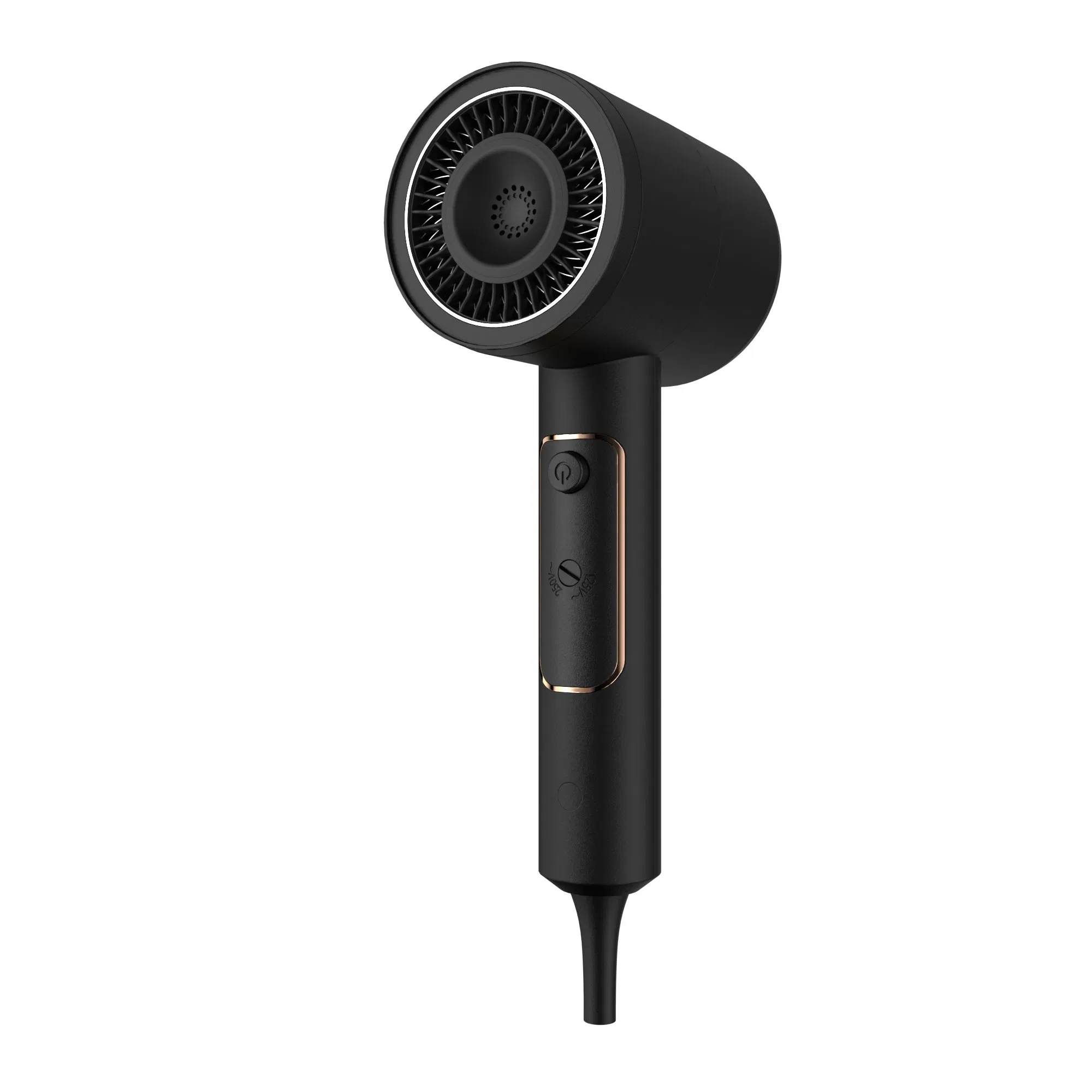 High Quality Dual Voltage High Speed Anion Hair Dryer Professional Hair Dryer