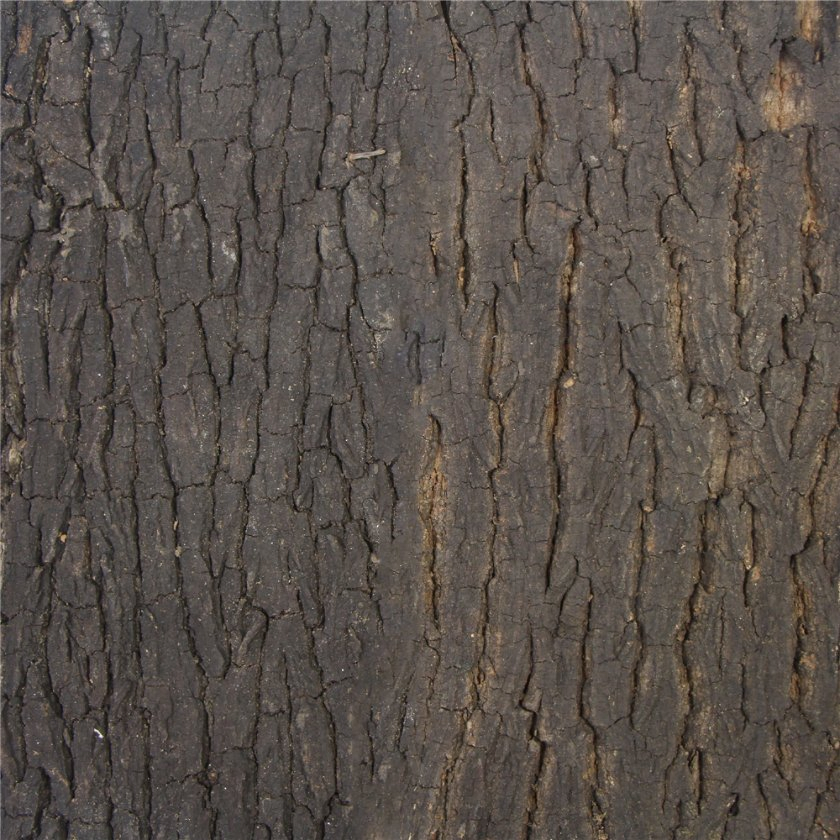 Interior Wall Decoration The Simulation Natural Cork Floor Tiles of Bark