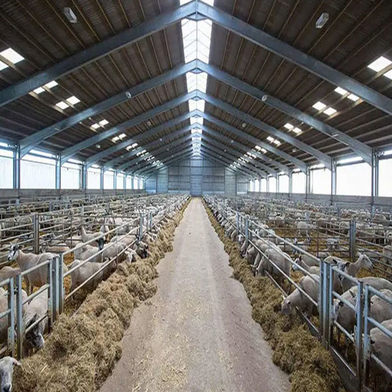 Prefabricated Light High Quality Steel Structure Building Farm