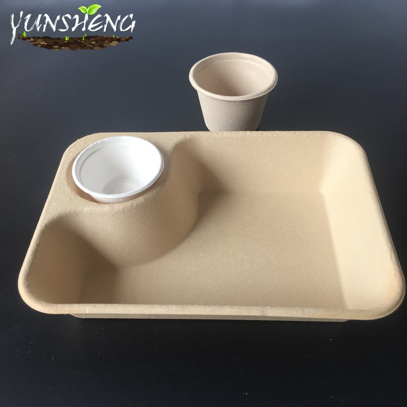 Disposable Biodegradable Food Paper Trays, Five Compartments