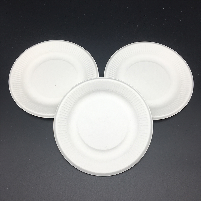 100% Biodegradable Environmental Birthday Party Cake Plate