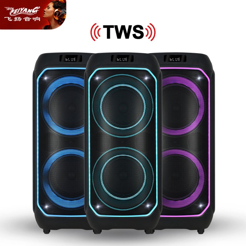 Feiyang New Arrival Private Mould Party Speaker with New Light Fg206-20