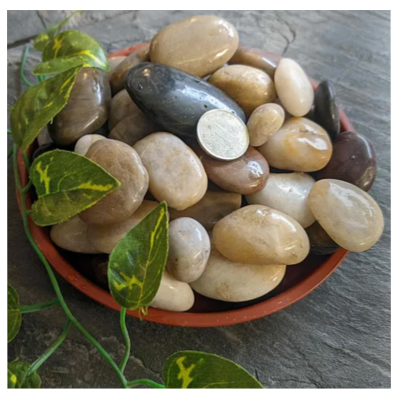 Natural Polished Mixed Color Pebble Stone for Garden
