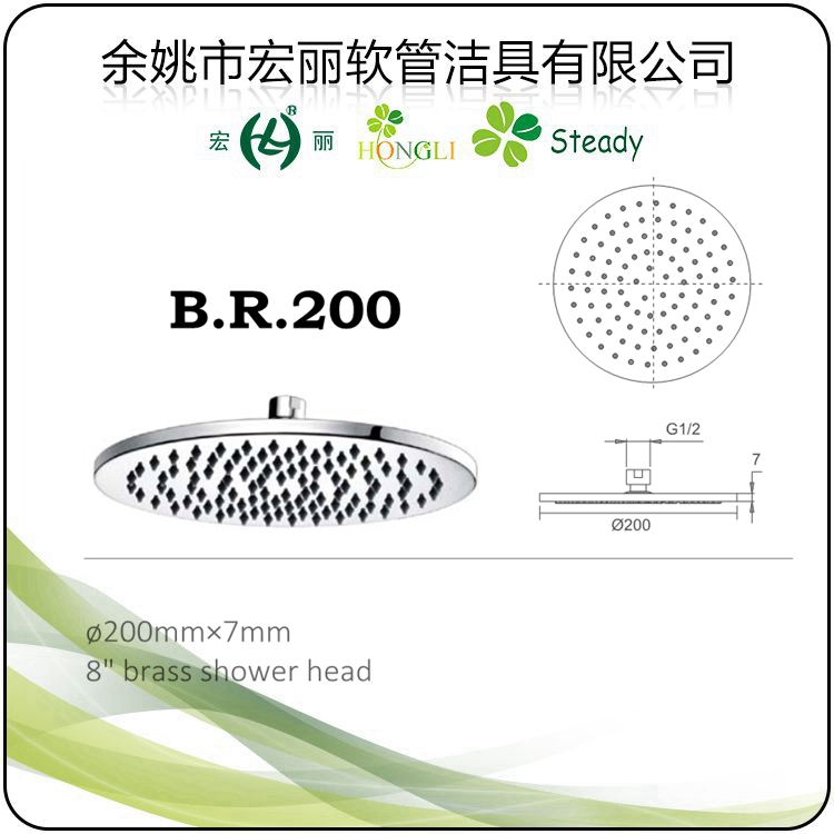 B. R. 300 Brass Shower Head