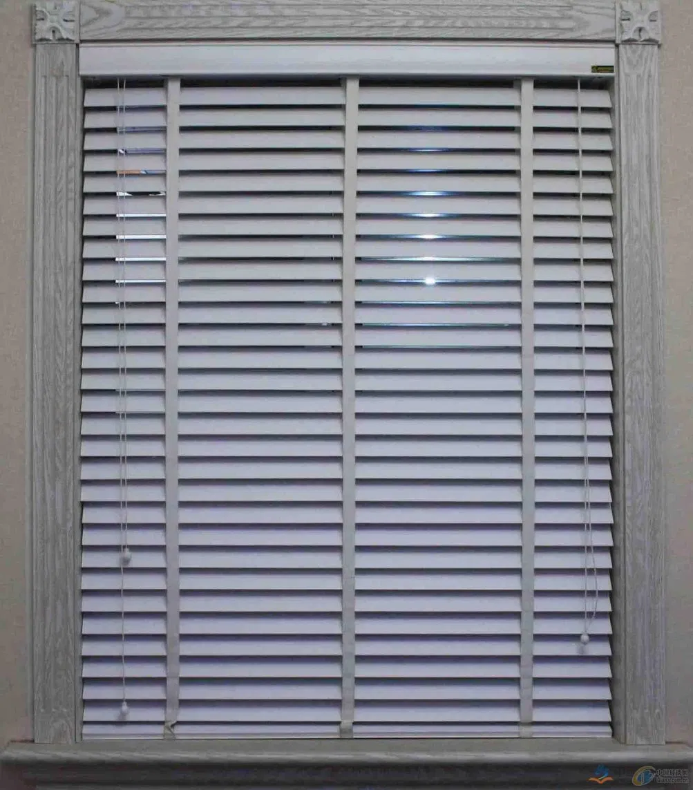 Garden Corridor Office Aluminum Motor Roller Automatic Security Shutter Plasticblind Window