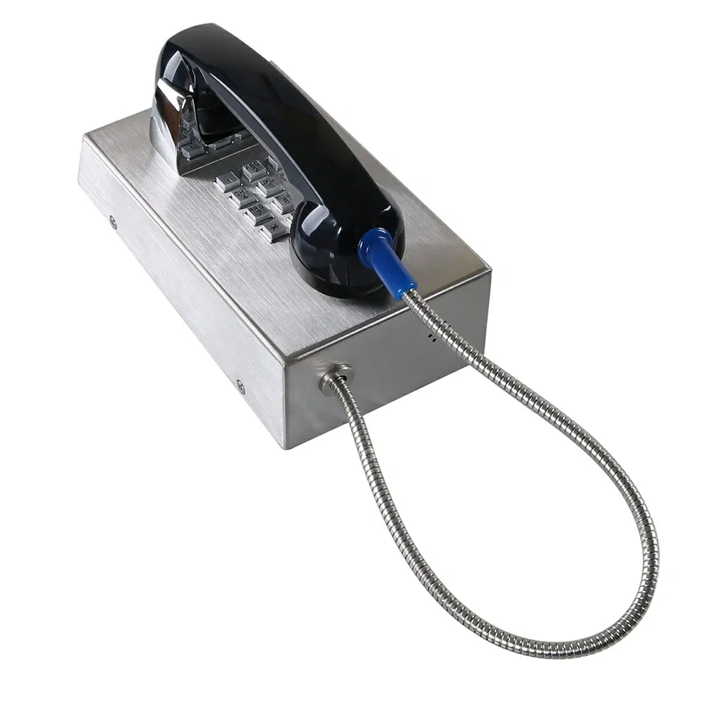 Vandalproof Stainless Steel, Extensive Line of Prison Visitation Phone