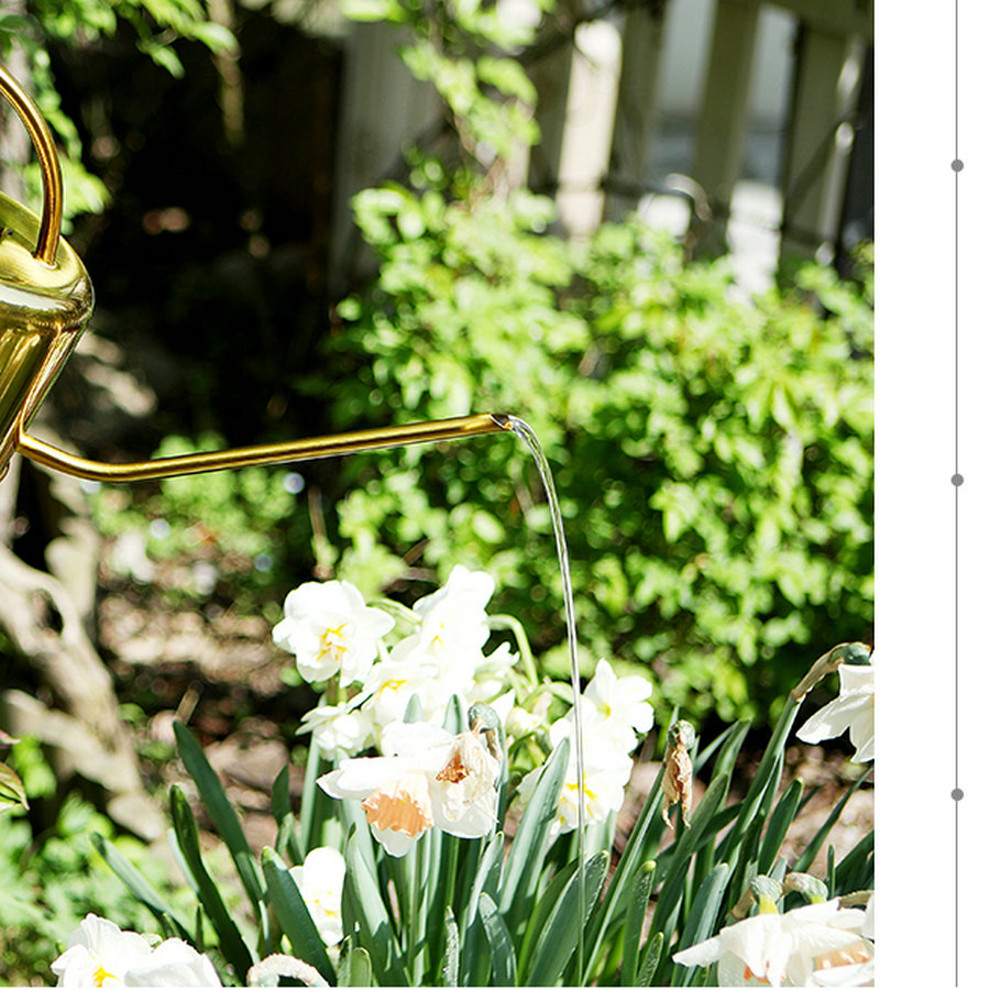 Stainless Steel Spray Paint Watering Can