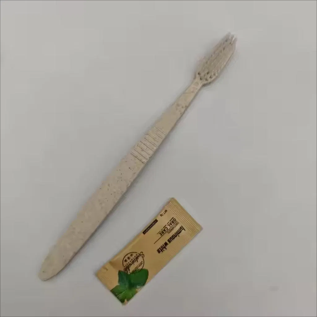 Wholesale Cheap Individually Packaged Disposable Hotel Toothbrush with Toothpaste