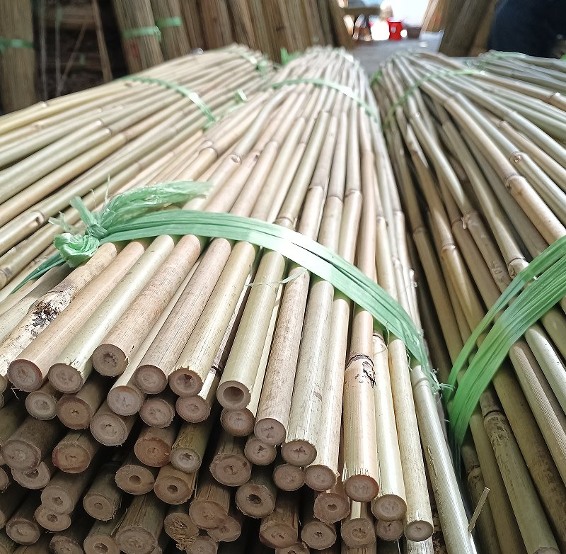 Best Bamboo Pole Supplier for DIY Projects