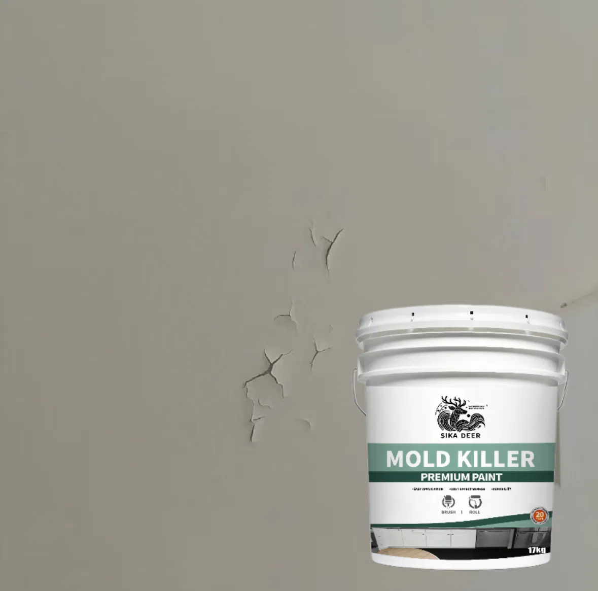 Excellent Anti-Salt and Anti-Alkali Performance Mold Killer Coating