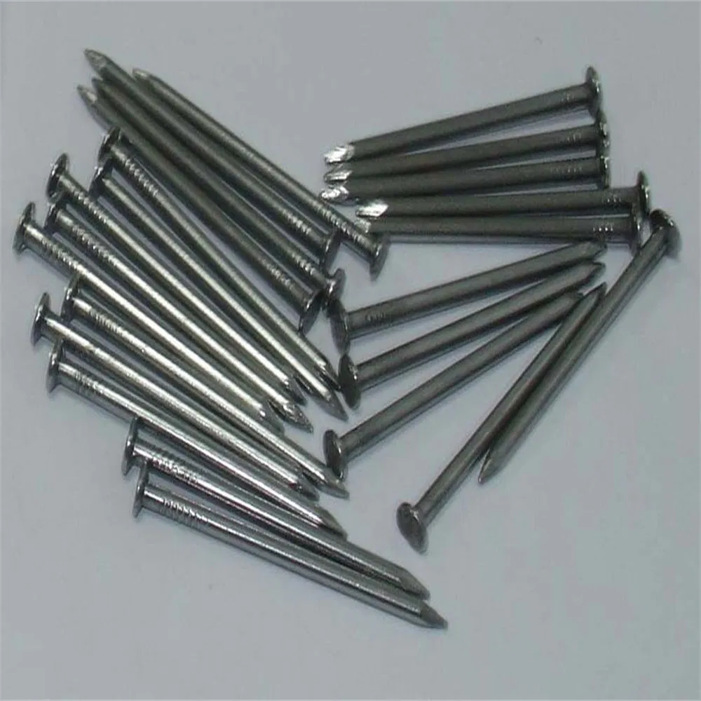 Durable Stainless Steel and Carbon Steel Nail Assortment