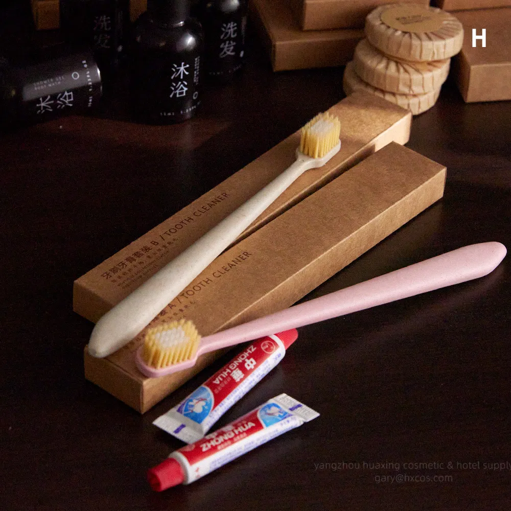 Premium Hotel Amenity and Disposable Hotel Toothbrush Toothpaste with Private Logo and Custom Hotel Supply Set