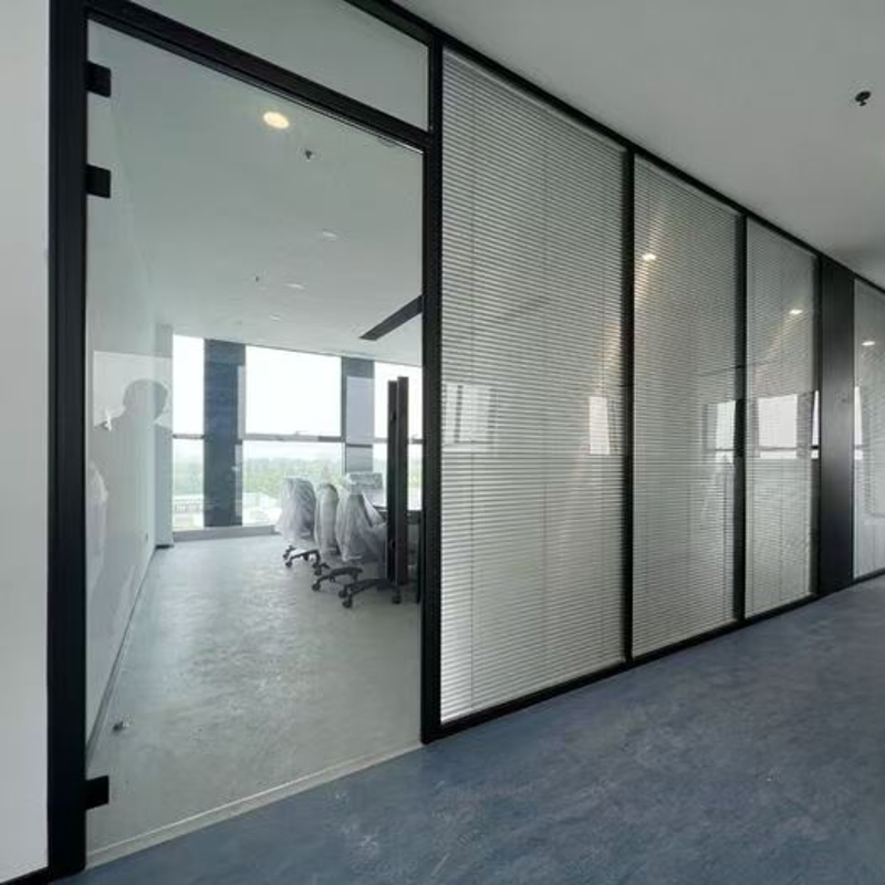 Decorative Single Double Glass Wall Partitioning Glass Wall with Flush Door Design