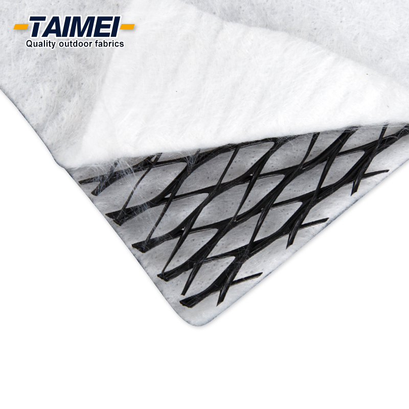 Reinforced Plastic Geocomposite Drainage Mat Geocomposite Geomembrane Geocomposite for Erosion Control Slope Protection