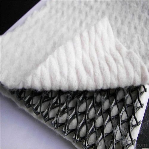 Factory Price Geonet Geotextile Composite Drainage Geonet for Landfill