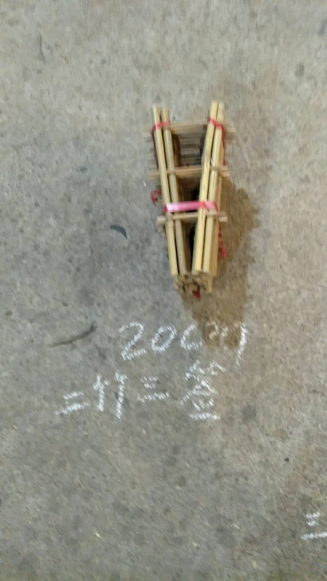 Bamboo Plant Fan Trellis H85cm