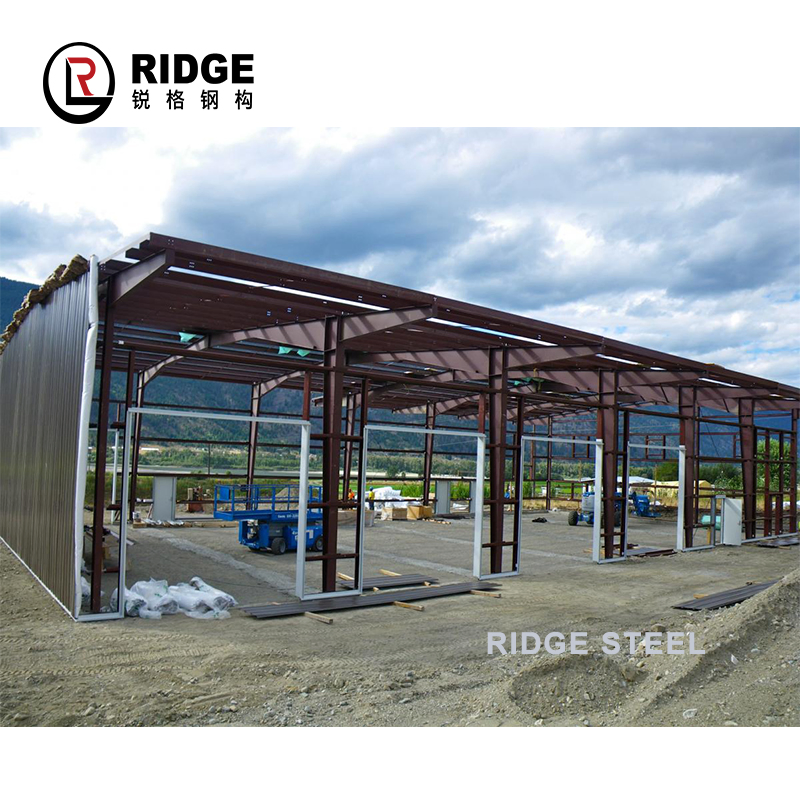 Easy to Install Galvanized Prefab Light Guage Steel Structure Shed