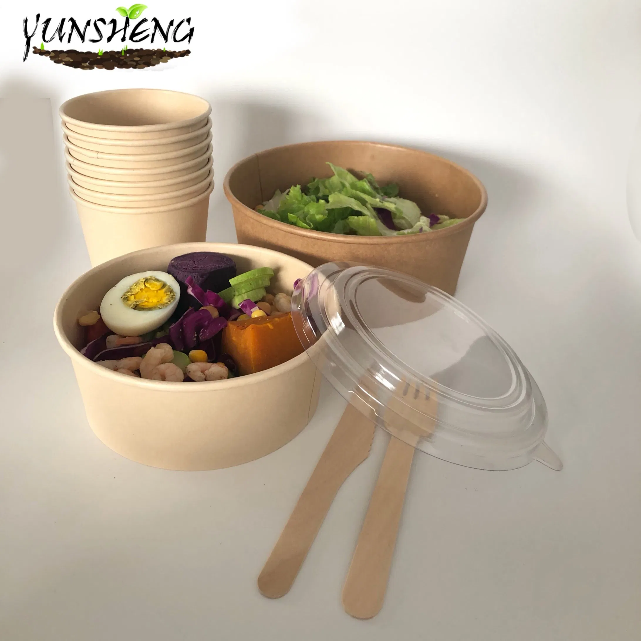 Disposable Food Containers Salad Bowls