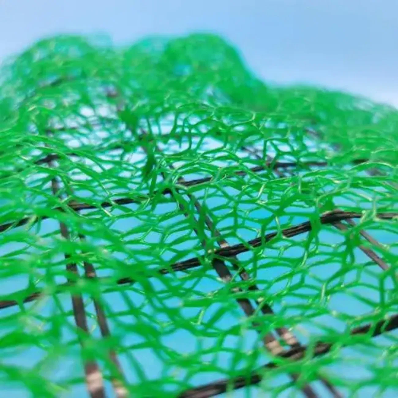 Tianen High-Quality 3D Geomat, Grass and Plastic Mats for Outdoor Landscaping, Earthwork, Slope Protection and Drainage