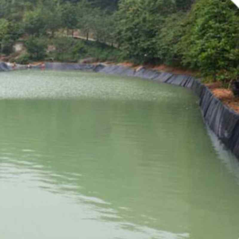 Waterproof PP Geomembrane with Excellent Corrosion Resistance in Marine Engineering