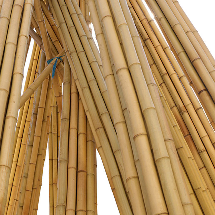 High Quality Bamboo Material Stakes Bamboo Poles Moso Raw Bamboo Poles