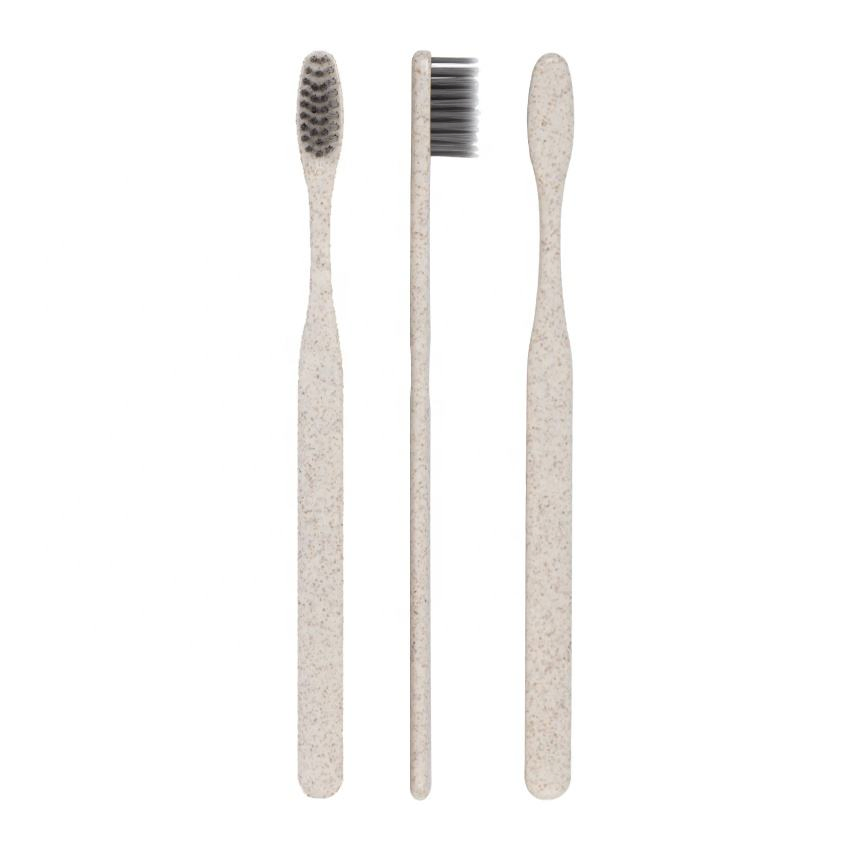 Customized Hotel Supply Toothbrush with Mini Toothpaste for Guests