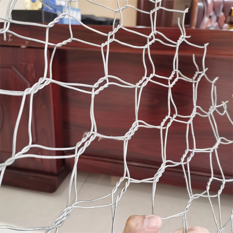 Zenyo High Standard 10FT X 6FT Chain Link Fencing Football Pitch Fence Cyclone Wire Fence Price for Philippines Supply