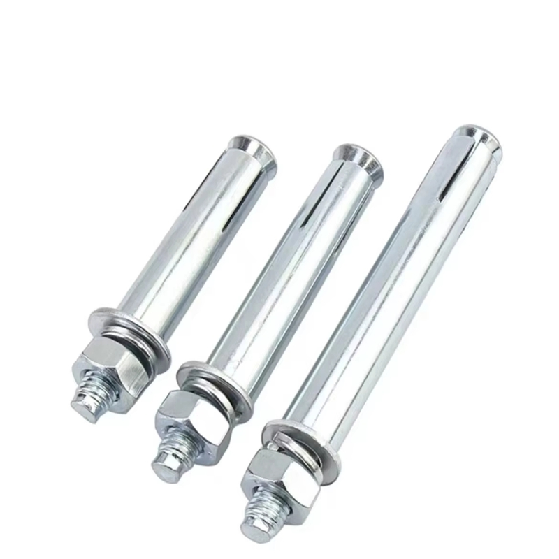 Carbon Steel OEM/Oed Galvanized Steel Expansion Bolt