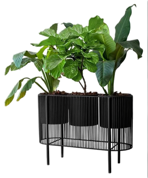 Flower Pot for Flowers, Decoració N Casera and Furniture