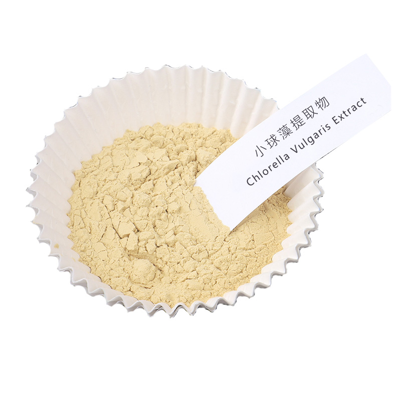 Chlorella Power Plant Extracts Repairing Damaged /Skin Cells